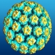 Ваксината срещу HPV предпазва и по-възрастните жени - 
