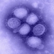 15-годишно момче от Кaварна почина от новия грип - 